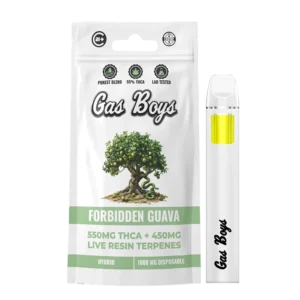 Forbidden Guava 1000 Vape